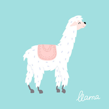 Vector illustration of  llama