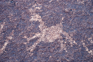 Animal Petroglyph