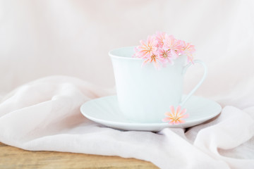 Obraz na płótnie Canvas Still life photograph of a white cup and saucer filled with pink daisies on a soft pink background