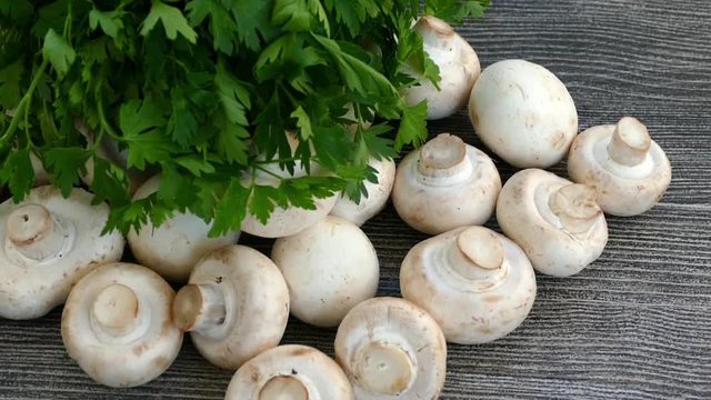 edible culture mushroom

