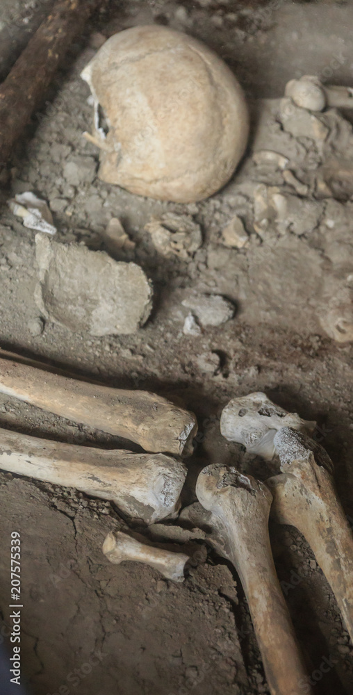 Poster Ancient Bones in Pompeii Tomb