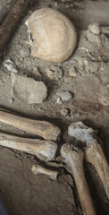 Ancient Bones in Pompeii Tomb
