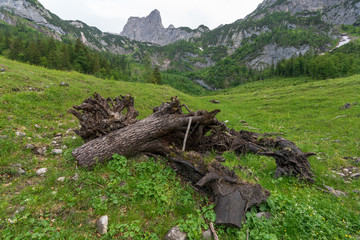 Gebirgszug am Gosausee