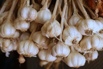 Fresh raw garlic, copy space