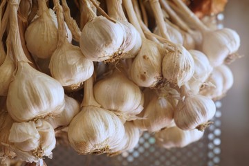 Fresh raw garlic, copy space