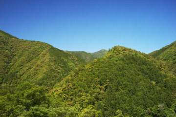 新緑の山と青空