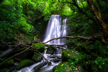 Long Exposure photography. Beautiful waterfall in the rainforest with green nature. MATAI FALLS,...