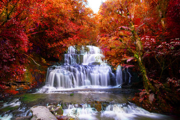 Obrazy na Plexi  Fotografia z długim czasem naświetlania. Piękny wodospad w lesie deszczowym z zieloną przyrodą. Purakaunui Falls, Catlins, Nowa Zelandia. Photoshop zmienił liście na czerwony kolor.