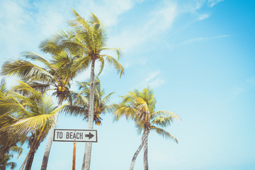 Landscape of coconut palm tree on tropical beach in summer. beach sign for surfing area. Vintage effect color filter.