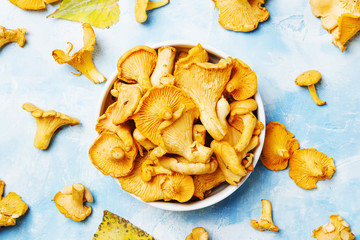 Fresh wild mushrooms chanterelles, blue background with autumn leaves, top view