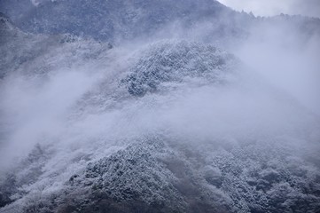 丹沢山地 4月の霧氷