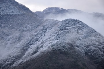 丹沢山地 4月の霧氷