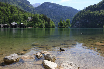 Fototapeta na wymiar Lake Königssee, Bavaria, Germany