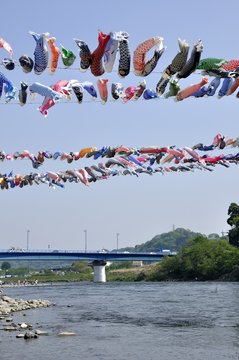こいのぼり