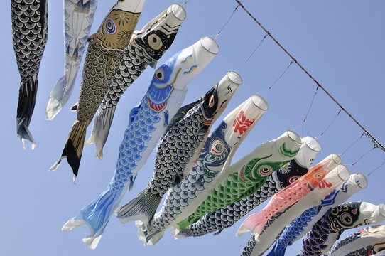こいのぼり