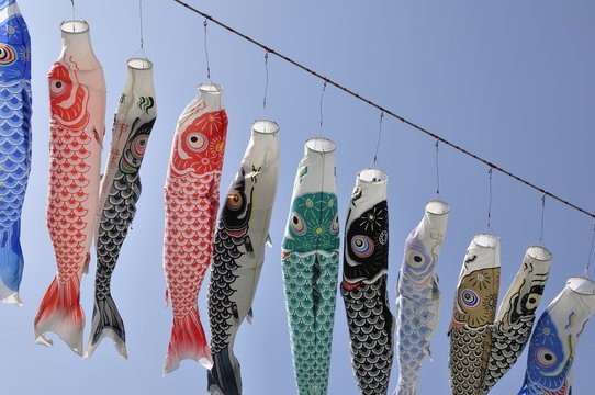 こいのぼり