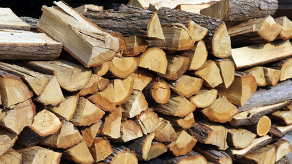 Pile of firewood at garden.