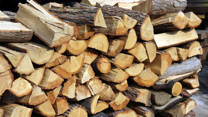 Pile of firewood for the winter.