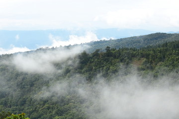 Beautiful natural scenery of mist over green mountain.