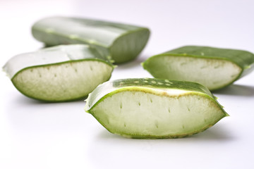 aloe vera slice on white background