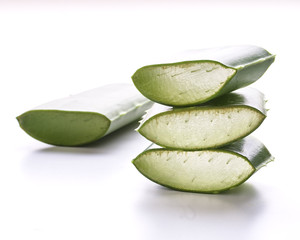 aloe vera slice on white background