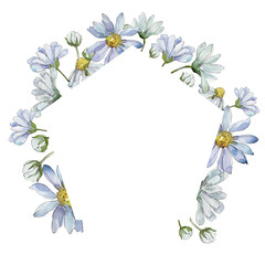 White daisy. Floral botanical flower. Frame border ornament square. Aquarelle wildflower for background, texture, wrapper pattern, frame or border.