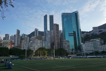 公園から香港のビル群を眺めて