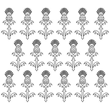 Independence Day of Scotland. 24 June. Concept of a national holiday. Ornament of flowers of a thistle. Black and white. Vertical arrangement of elements