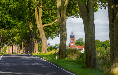 eine Allee mit alten Bäumen und die Kirche eines Dorfes im Land Brandenburg ( Deutschland )