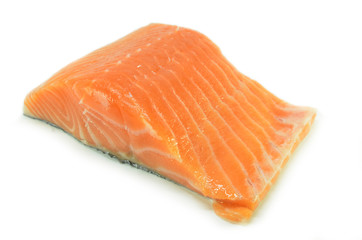 Fresh salmon fillet isolated