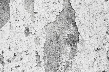 Obraz premium white concrete wall texture