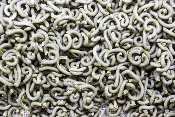 Fresh Pasta, close-up texture of Home made tagliatelle pasta flour ribbon noodle