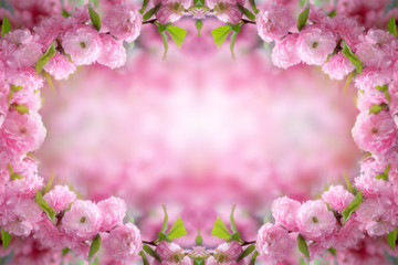 Mysterious spring floral background and frame with blooming pink sakura flowers