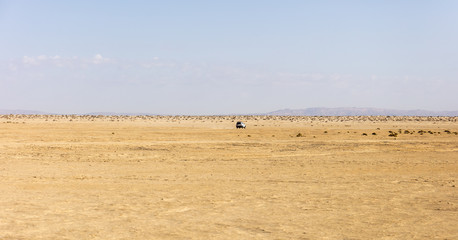 hot day in the Sahara desert