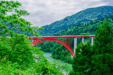 陸橋