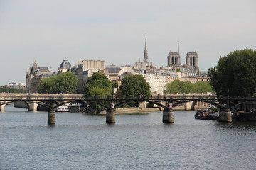 Obraz premium vue sur le Pont des arts et Notre Dame