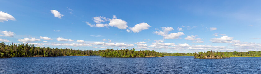 panorama of a forest lake