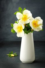 Flowers of dog-rose (rosehip)