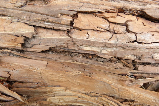 bark of wood chips close-up of old wood sawdust brown vintage boards  Открыть Google Переводчик	 Оставить отзыв Google Переводчик https://translate.google.com/?hl=ru Бесплатный сервис Google позволяет