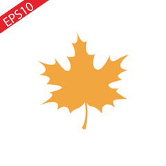 Maple leaf vector illustration, isolated on white background. Autumn realistic maple leaf graphic print or icon.