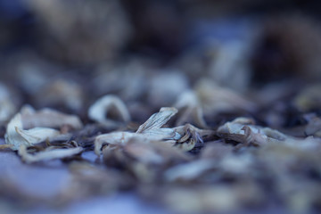 Vintage flowers fabric made with gradient for background and postcard,Abstract,texture, and Soft style.