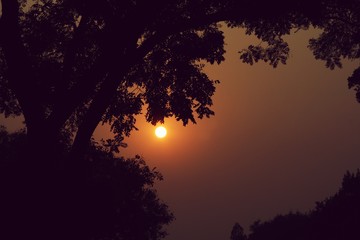 Fototapeta na wymiar sunset behind trees
