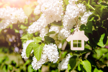 The symbol of the house among the branches of the white lilac 