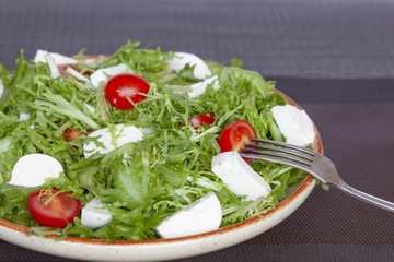 Vegetable salad plate with tomato, fresh lettuce, soft cheese. Healthy diet food