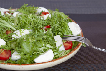 Vegetable salad plate with tomato, fresh lettuce, soft cheese. Healthy diet food