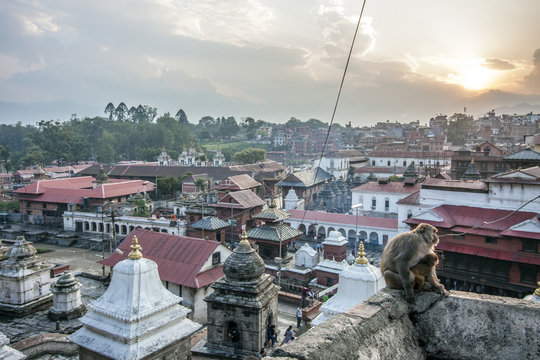 Pashupatinath Aussicht mit Affen
