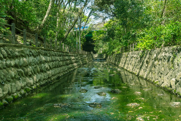 東京の自然　等々力渓谷１９