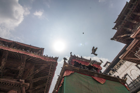 Nepal, Kathmandu - Tempel mit Tauben in der Sonne