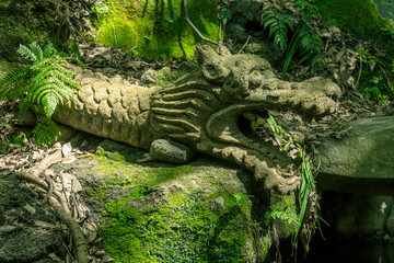 東京の自然　等々力渓谷１４　龍の彫像