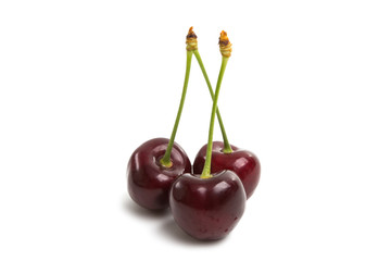 cherry isolated